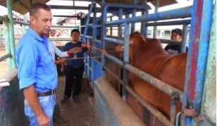 Greg Smith: A live export journey