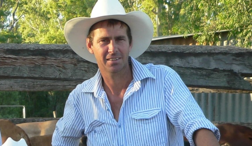 Cattle Council says senate report misses the mark