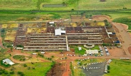 Roma tops Queensland cattle saleyard turnover for 2013-14