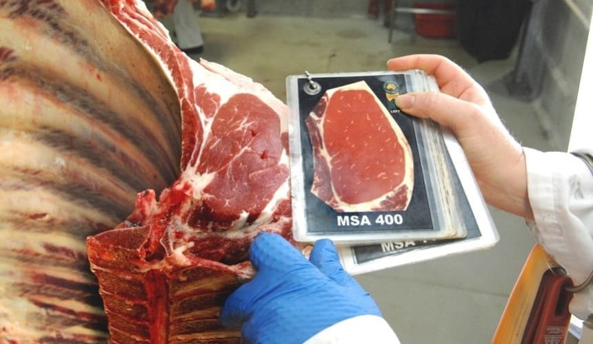 Can commercial carcase data be used in genetic evaluation?