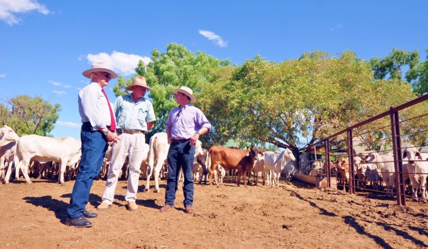 Katters, Alan Jones launch rural debt crisis summit
