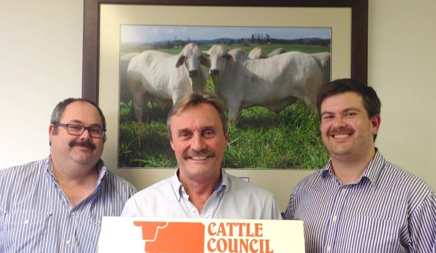 Cattle Council gets fuzzy for Movember