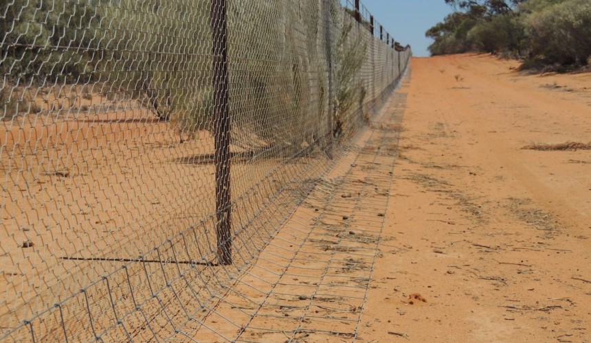 Regional pest fencing projects to get drought funding priority