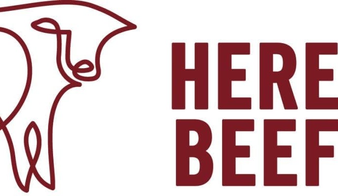 New beef brands to add value to Hereford cattle for producers