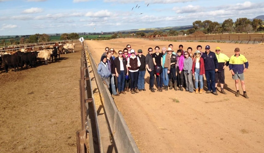 Animal science graduates get their hands dirty