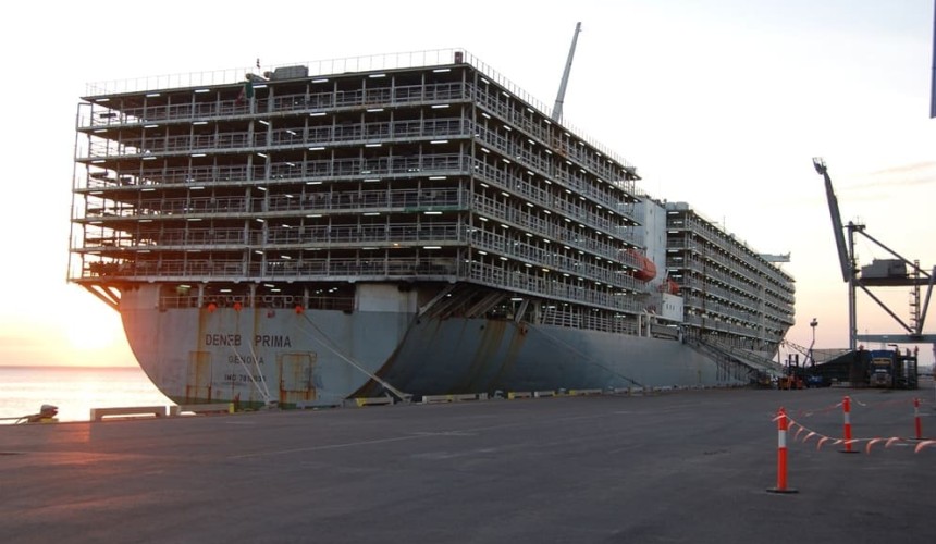 Opinion: Aussie processing jobs disappear over the horizon on a boat