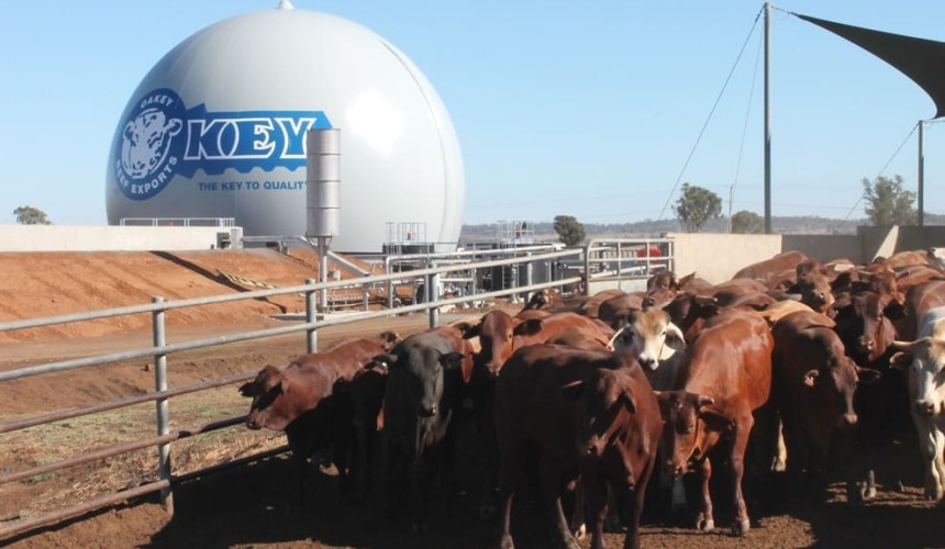 Environment: Oakey’s biogas ‘sphere’ delivers greener credentials, energy savings