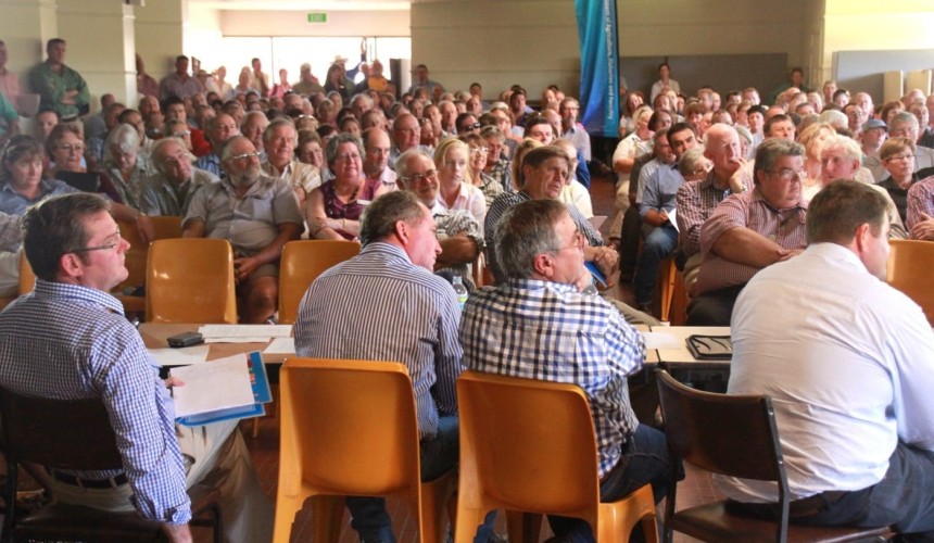 Beef restructure proposal delivers more questions than answers