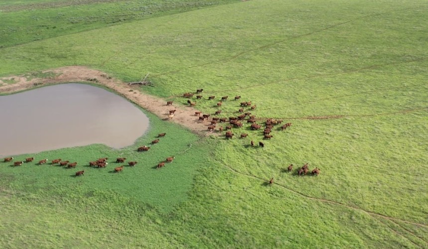  Measuring on-farm carbon becoming a hot topic
