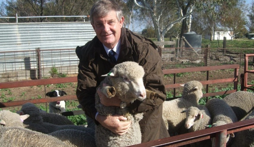 Senate Inquiry examines Animal Protection Bill