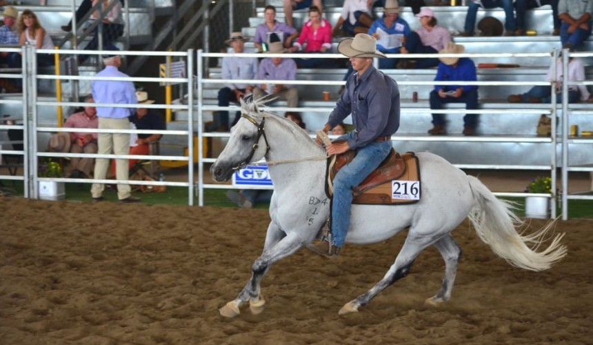 Dalby Stock Horses sell to $30,000, twice