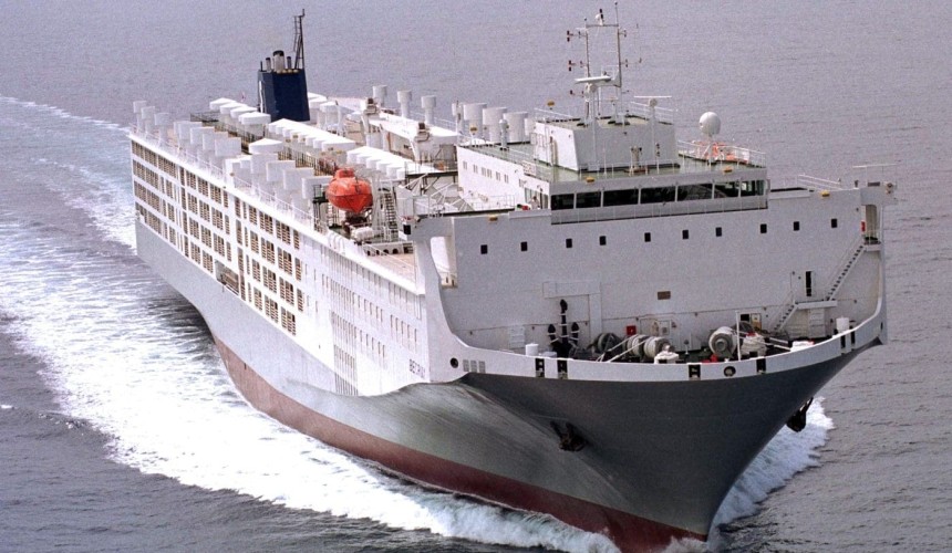 Opinion: Live export future in ‘ship shape’