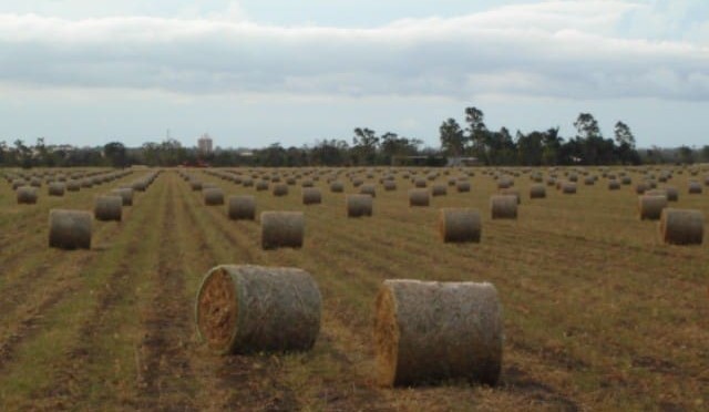 Beef Central Briefs 16 Dec 2014
