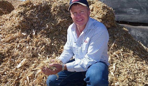 Golden scholarship opportunity for young ag uni student
