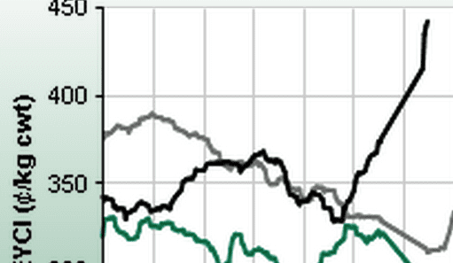 Cattle indicators hit record levels