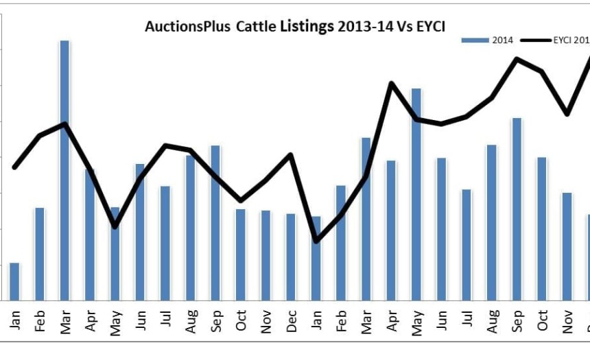 Big turnover rise for AuctionsPlus in cattle and sheep