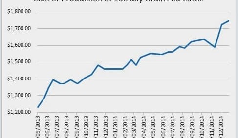Big rise in COP for grainfeds – but will slaughter price keep pace?