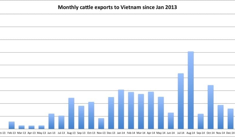 Vietnam on track for monthly cattle import record