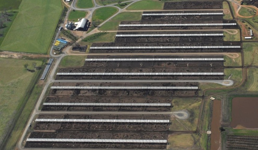 BeefEx: Expansion plans signal positive vibe across feedlot sector