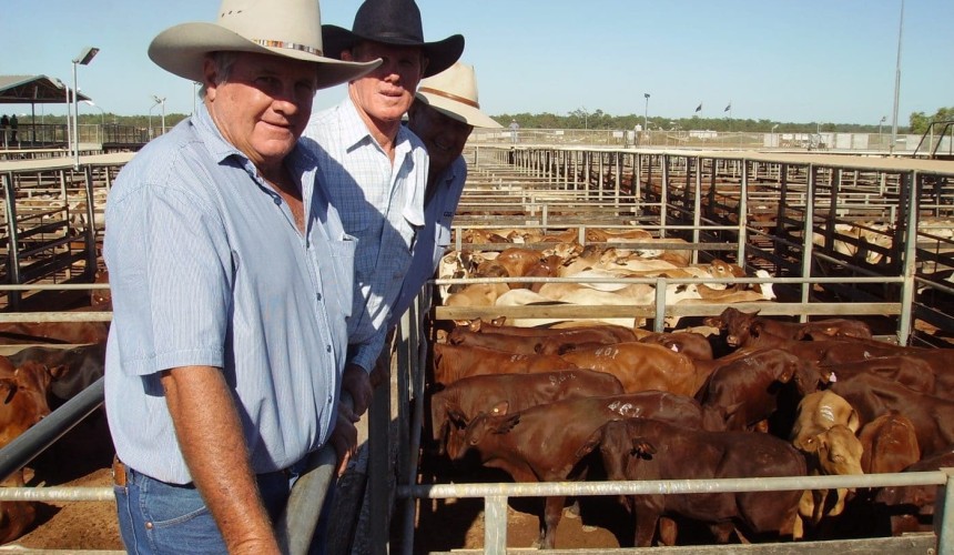 Roma Store 10 Feb 2014: Heavy weaners to 296c
