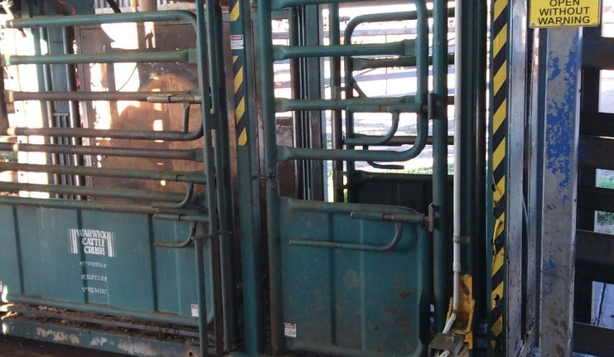 Is this Australia’s hardest working cattle crush?