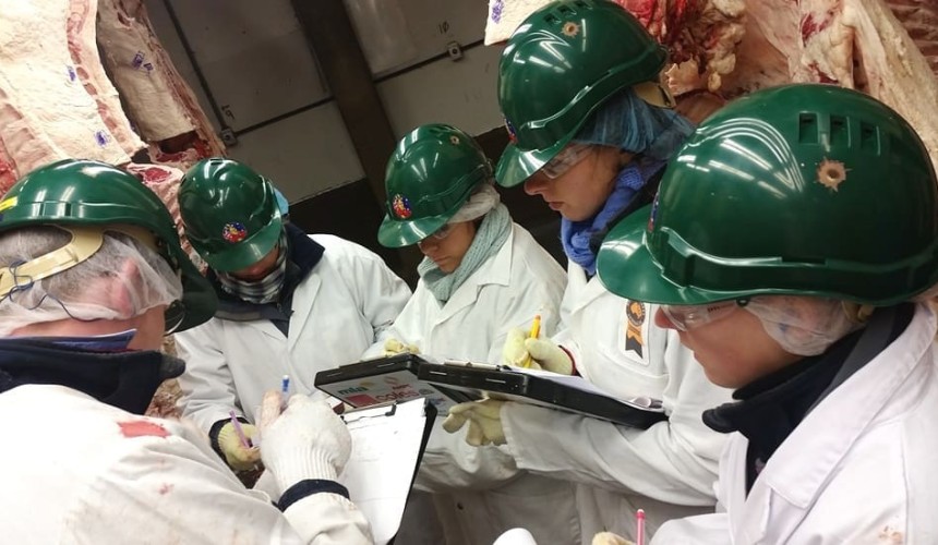 Young Aussie meat judges perform well in US competitions