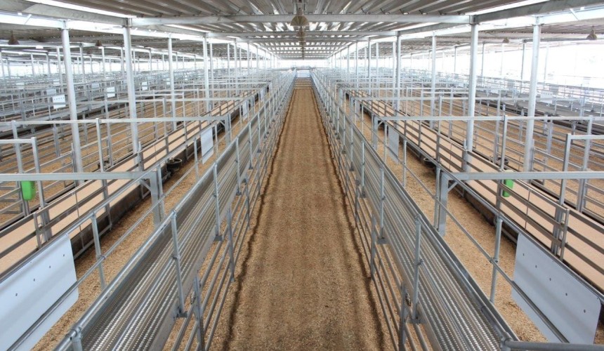 Australia’s newest cattle selling centre opens today