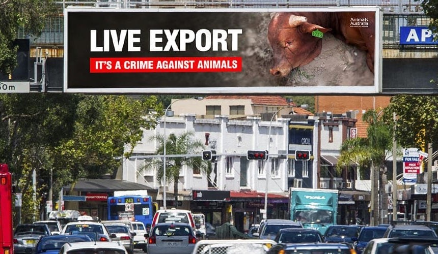 Billboard blitz brands live exports ‘a crime’