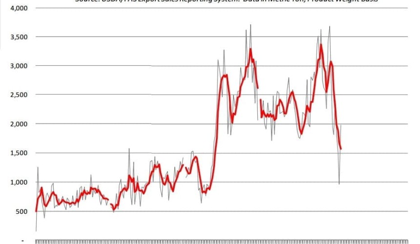 Competitor watch: US exports fall as China clamps-down on illegal beef trade