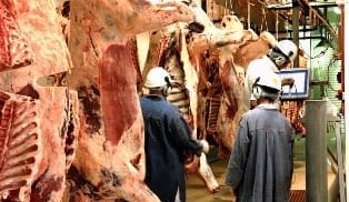 Discussion paper flags ‘mood for change’ over beef trading language
