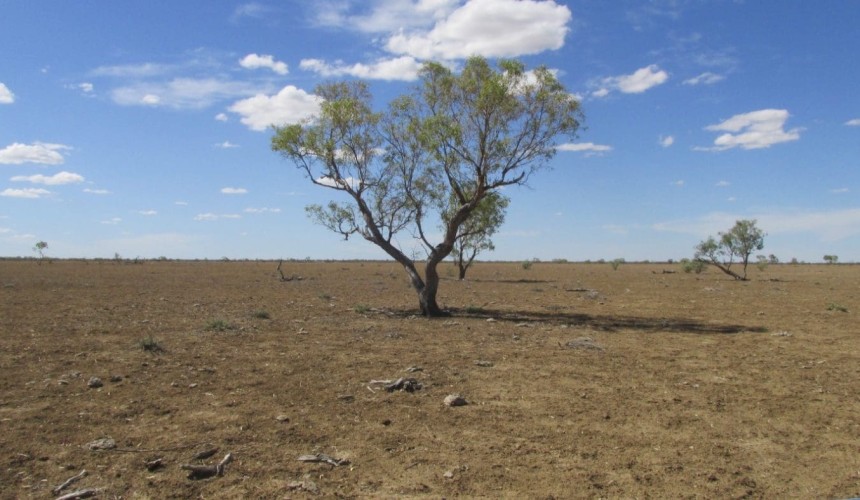 Apply now for regional drought grants