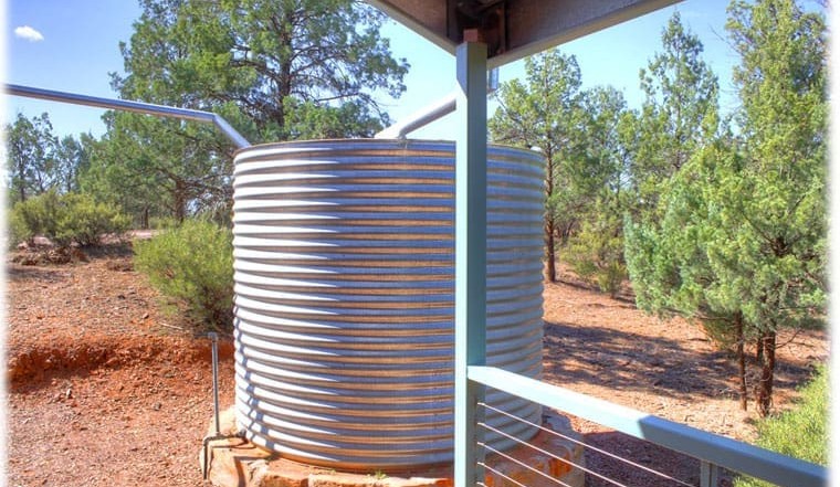 Ensuring the health of your rainwater tank: Top five tips + VIDEO