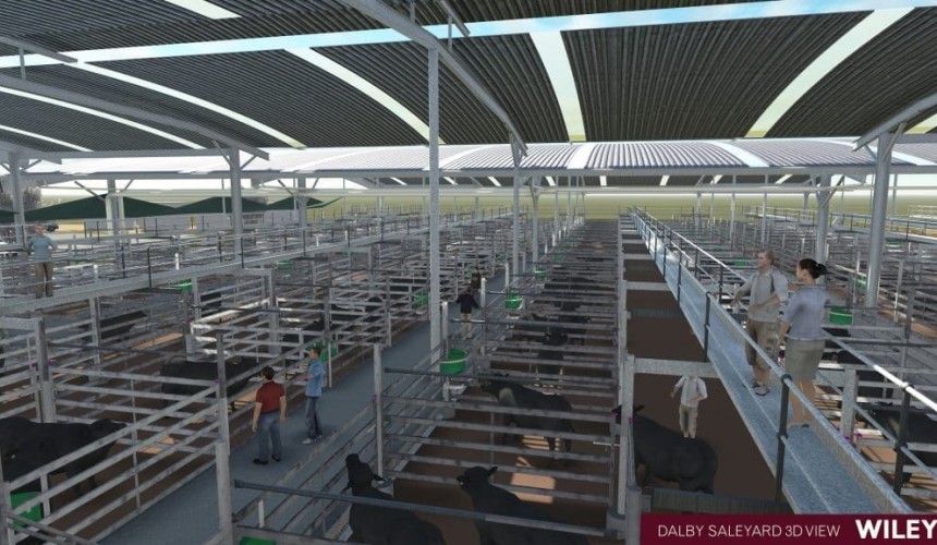 New look Dalby saleyards officially opened