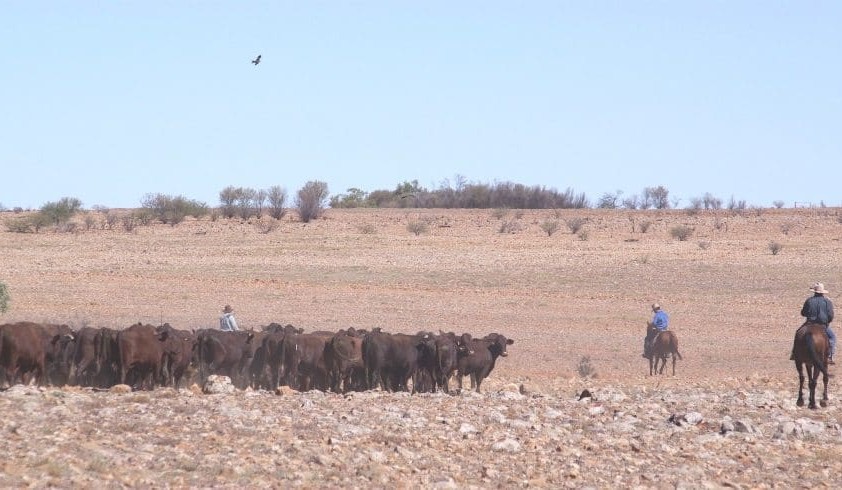 Weekly property review: Drought’s impact on lending practices
