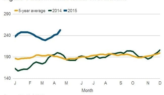 EYCI cracks record, as southern saleyard prices surge