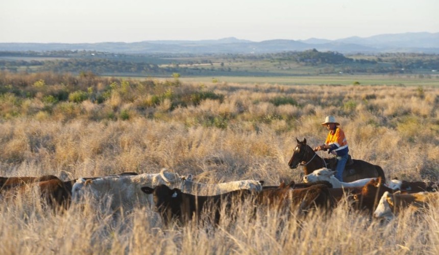 2000 producers embrace online grazing management program