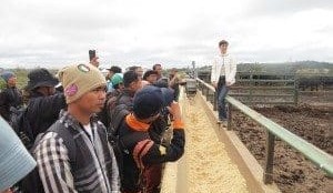 UNE and Qld ag colleges train Indonesian visitors