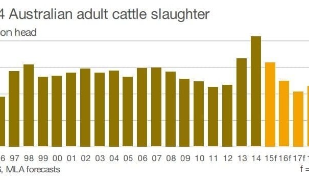 Beef production forecast adjusted higher, but even longer ‘hangover’ due to drought