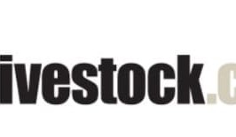 Elders launches ‘eBay-like’ online stud sales option