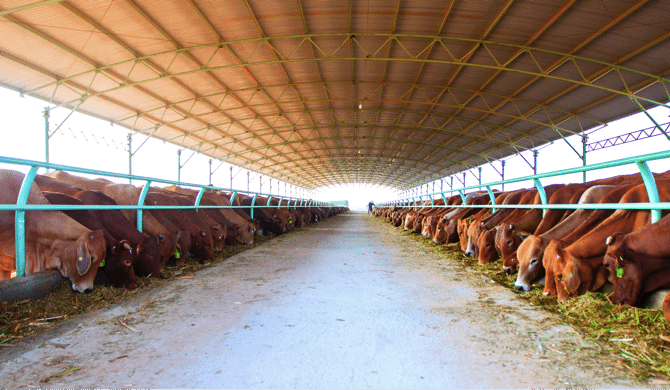 Vietnam trade slowdown expected as second COVID wave grows