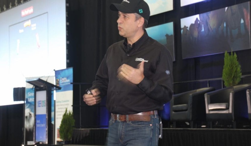 Creating Connections: Calmer cattle are healthier, higher performing cattle (+ handling tips)