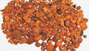Gallstones stolen from Toowoomba abattoir