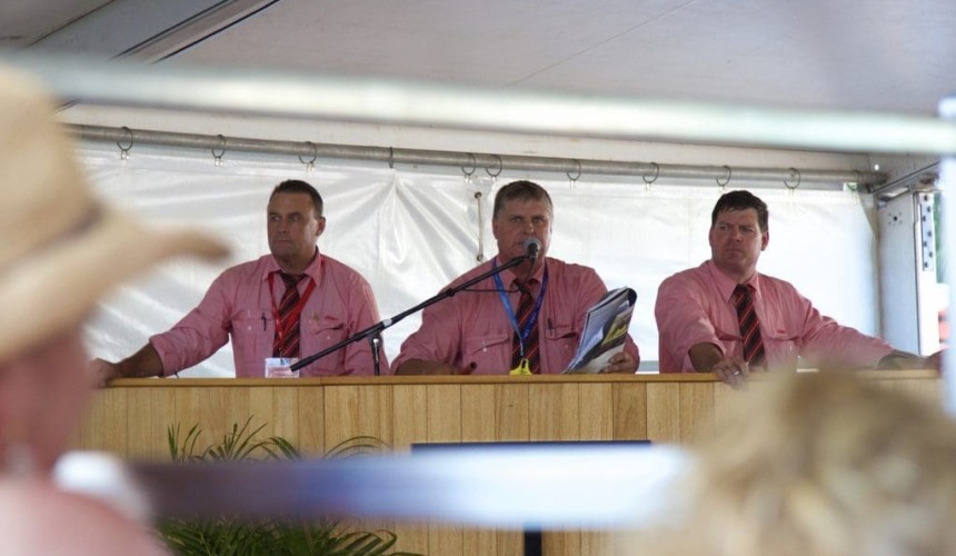 Elders launches new agricultural market analysis arm