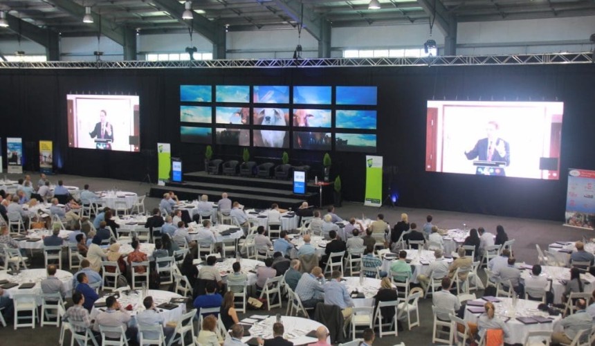 Beef 2015 day one: bulls, brands and ‘supermodel syndrome’ (+ PICS)