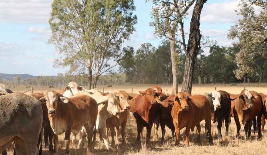 Biosecurity bill passes Senate
