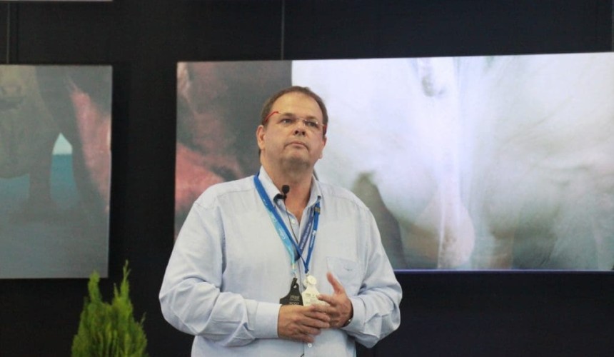 Live export will win the battle for cattle: Wellard Asia manager