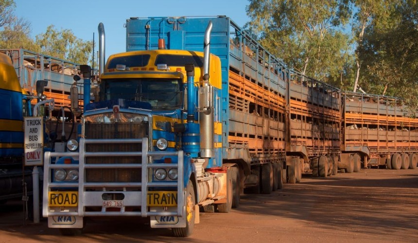 NT Johne’s policy means interstate cattle should continue to flow