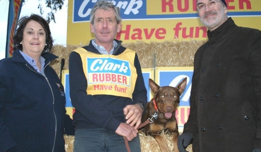 Kelpies sell to $11,000 at confident Casterton sale