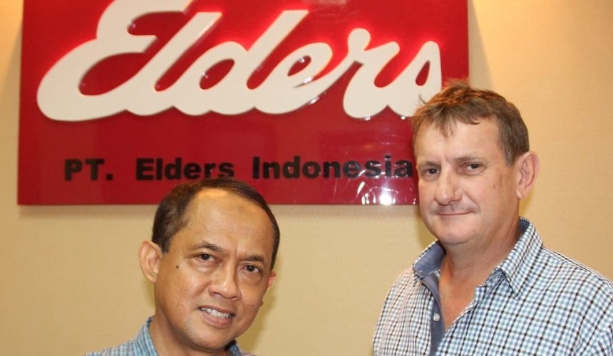 Indonesian lot feeders confident of meeting Lebaran beef demand