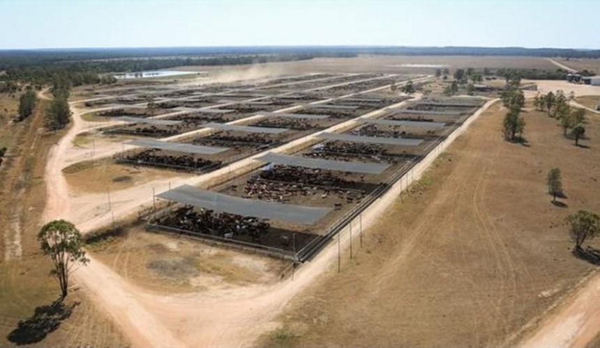 Extra 110,000 head capacity identified in feedlot sector expansion